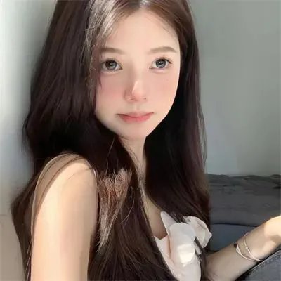 鸟类人间